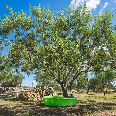 Vikendica Our Little House In Nature, Sibenik