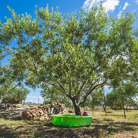 Holiday home Our Little House In Nature, Sibenik