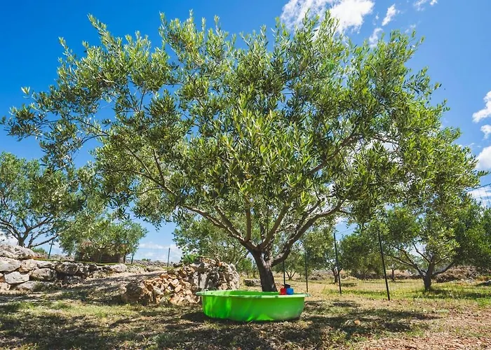 펜션 Our Little House In Nature, 시베니크